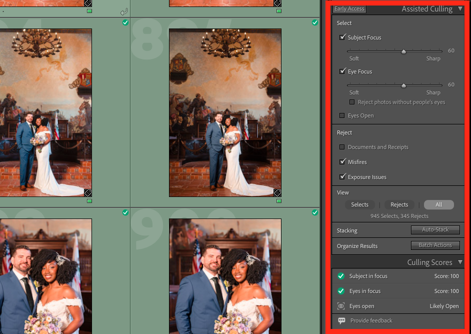 AI assisted culling LR