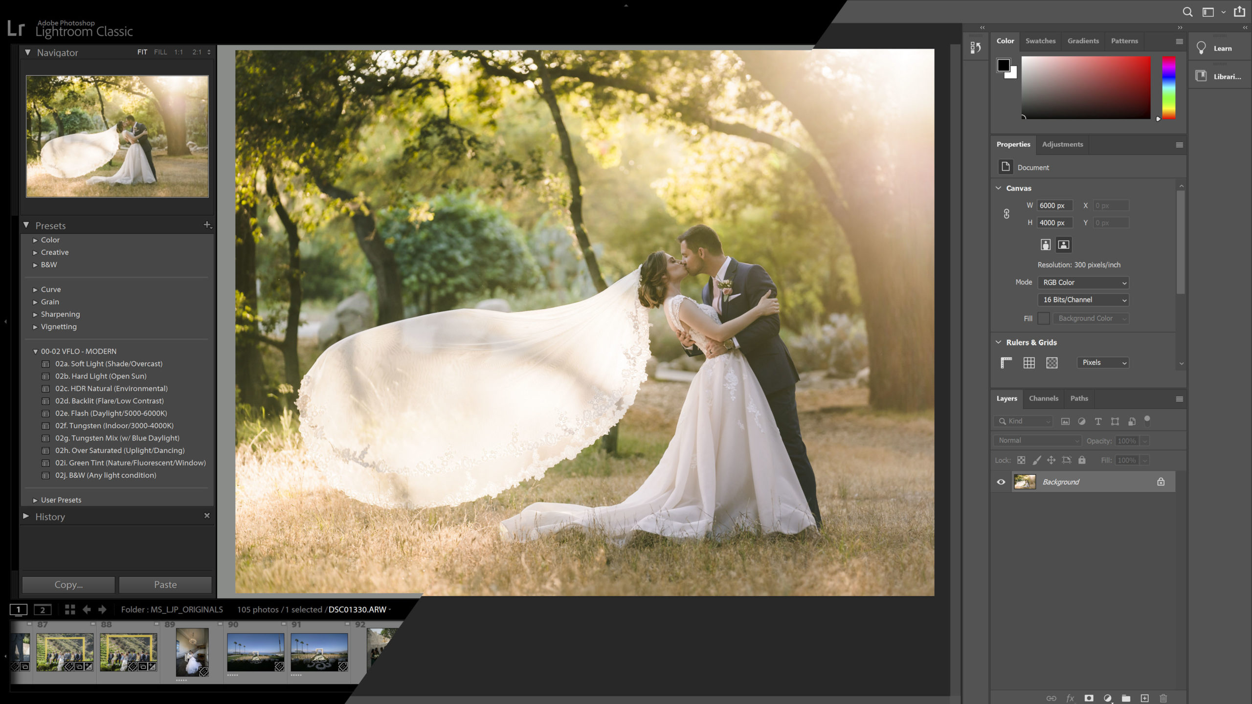 photoshop elements v lightroom