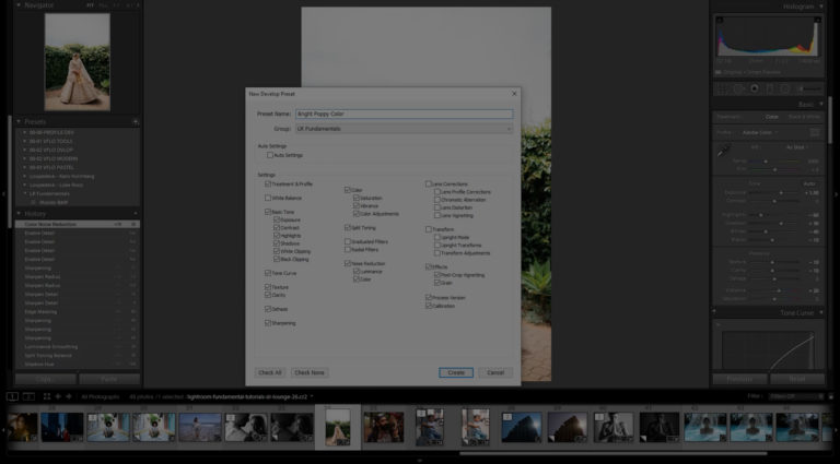 How to create presets to quickly edit photos in Lightroom