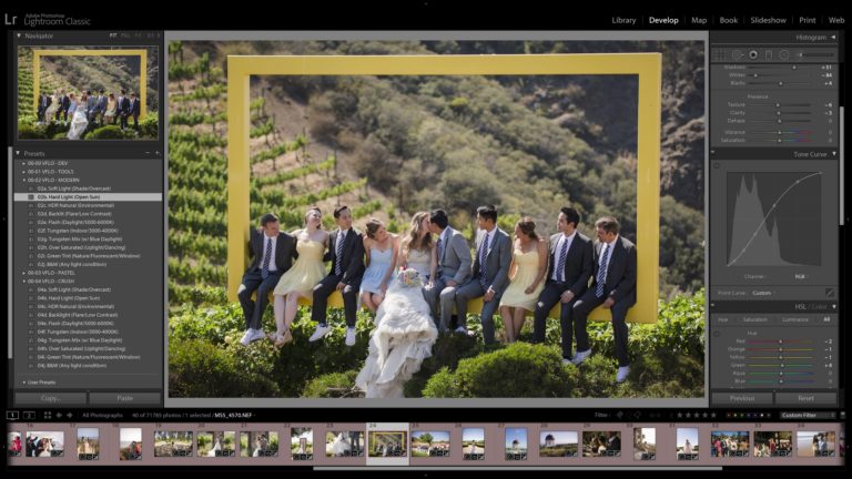 Adobe Lightroom Curves develop module 2